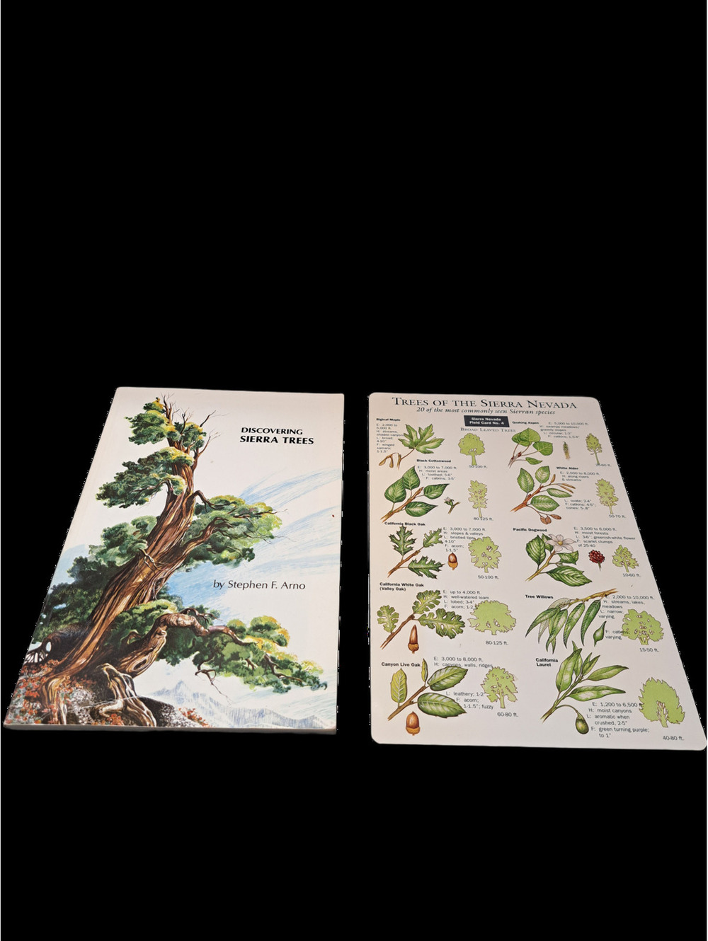 Vintage 1973 Discovering Sierra Trees by Stephen F Arno